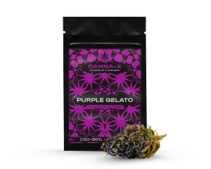 canna x purple gelato