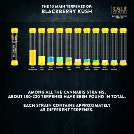 Τερπένια Cali Blackberry Kush – 1ml