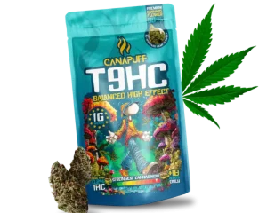 Canapuff Balanced Flower 1