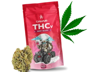 Canapuff  50% THCv Berry Gelato 2gr