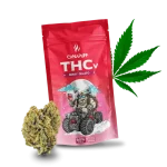 Canapuff  50% THCv  Berry Gelato 1gr