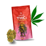 Ppy Pnch Thcv 700x700 1