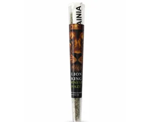 Lion King Amnesia Haze Preroll 1 5gr